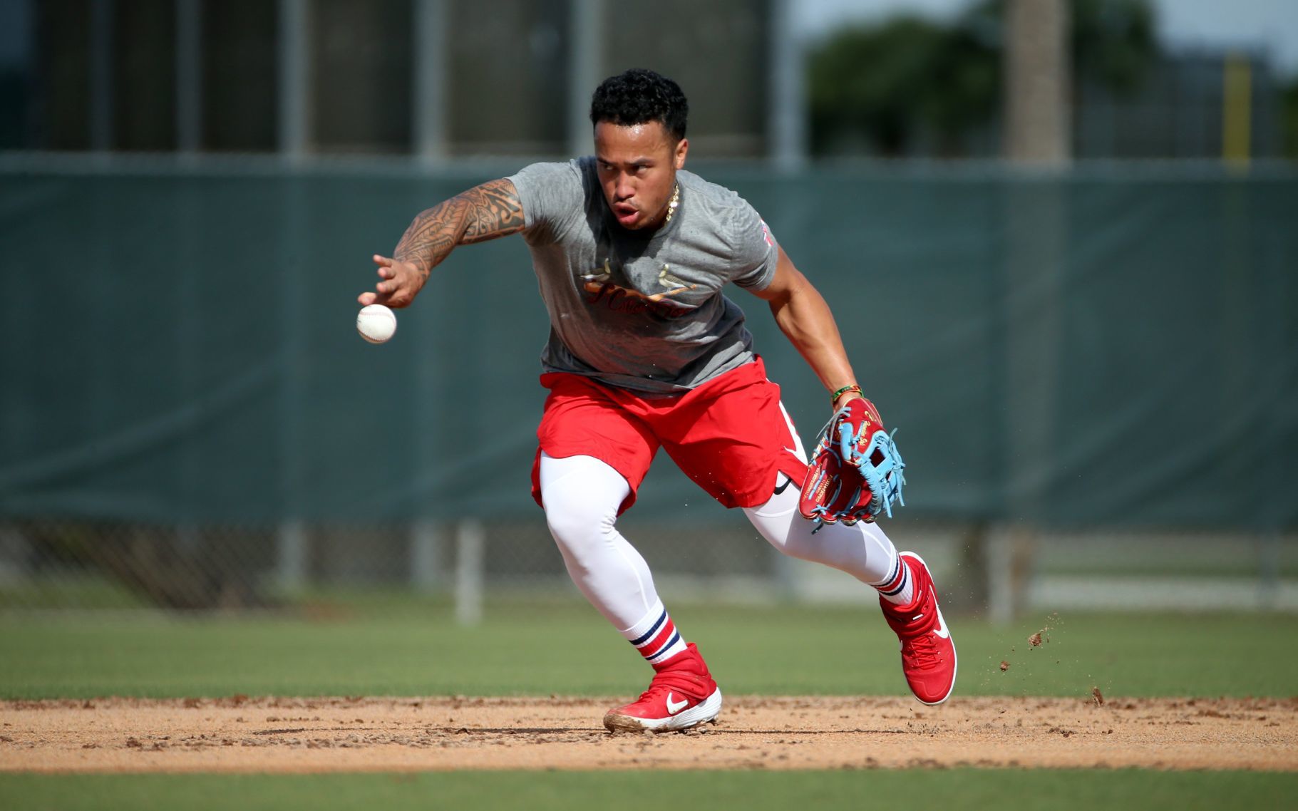 Cardinals pitchers and catchers report day